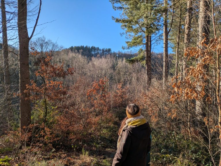 woman in foreground in autumnal woods with bright blue sky.